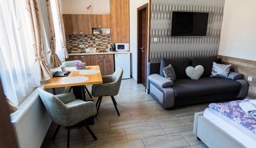 Studio Apartment