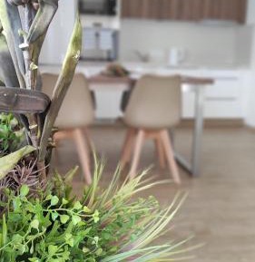 Apartment with Terrace