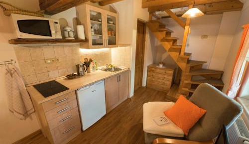 Duplex Apartment