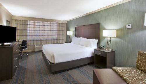 One-Bedroom King Suite