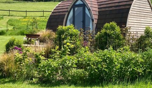Glamping Pod