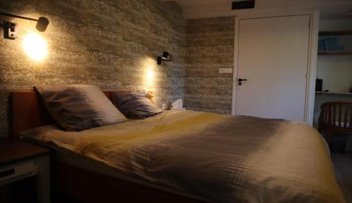 King Room with Roll-In Shower - Disability Access