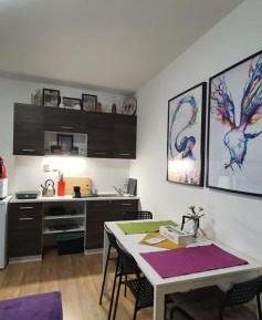 Family Studio