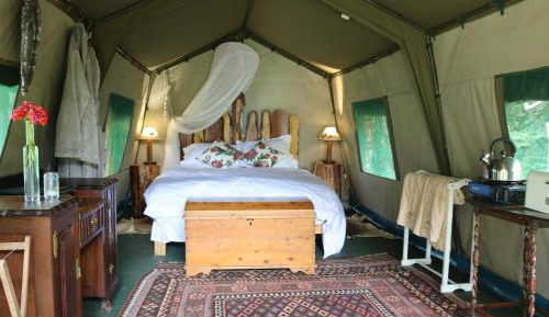 Tent