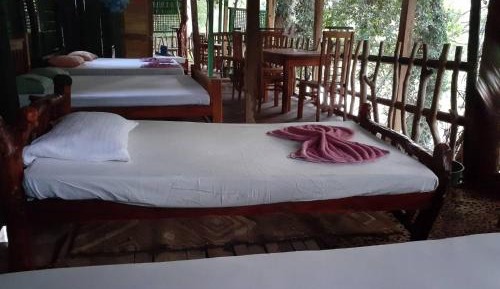 6-Bed Mixed Dormitory Room