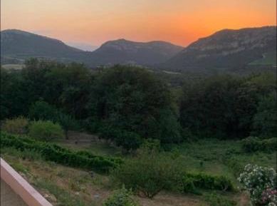 Superior Family Room