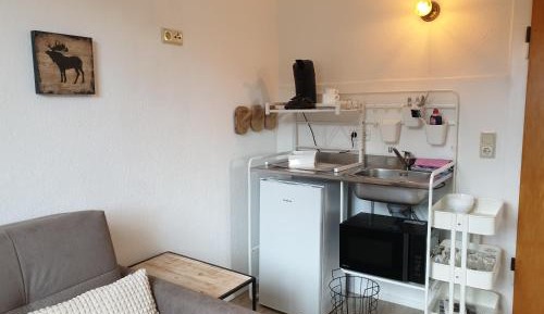 Studio with Mountain View