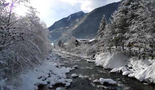 Double or Twin Room with Mountain View