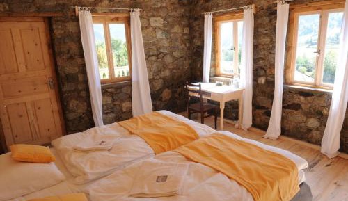 Deluxe Double or Twin Room with Mountain View