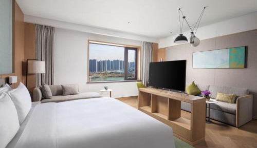 Premium King Room