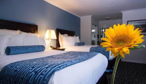 Queen Room with Two Queen Beds and Sofa Bed