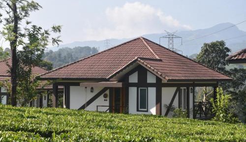 Tea Garden Villa (Dhaksha)