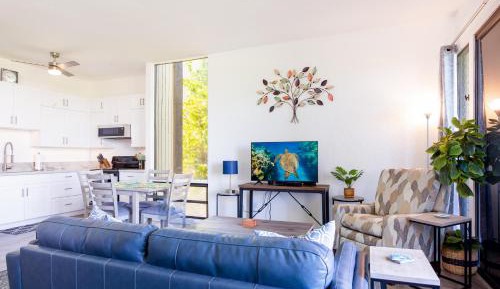 One Bedroom Apartment