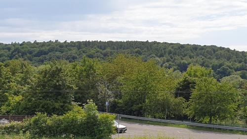 Family Room with Shower