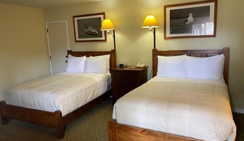 Room with Two Double Beds