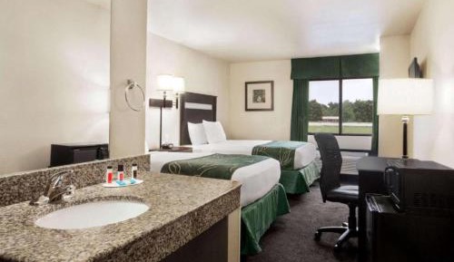 Queen Room with Two Queen Beds - Non-Smoking