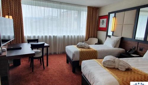 Superior Twin Suite