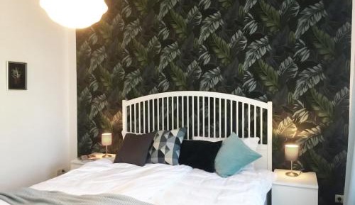 One-Bedroom Apartment 4