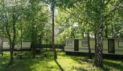 Mobile Home