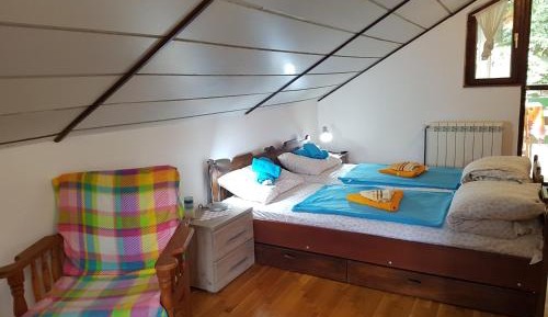 Triple Room with Shared Bathroom