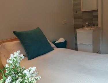 Standard Single Room with Mountain View