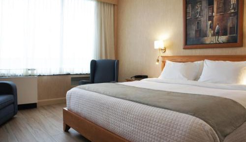 Business Room, King-size bed, single sofa-bed, wooden floor