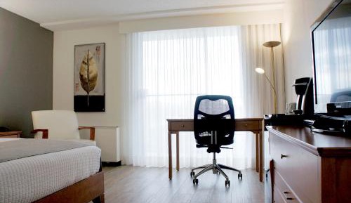 Business Room, Queen-Size bed, wooden floor