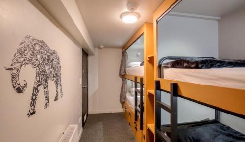 Single Pod in a 4 Bed-Mixed Budget Room