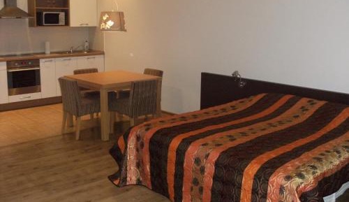Large Studio Apartment