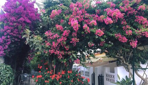 Double or Twin Room with Terrace