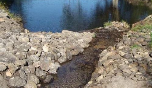 One-Bedroom Bungalow