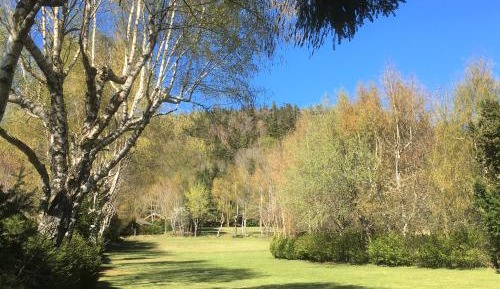 Suite with Garden View