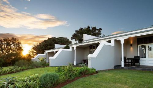 Contemporary Suites