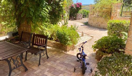 One-Bedroom Apartment with Garden View