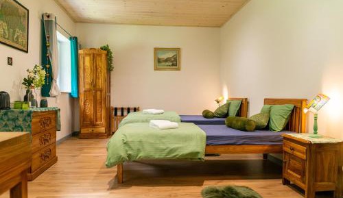 Deluxe Double or Twin Room with River View