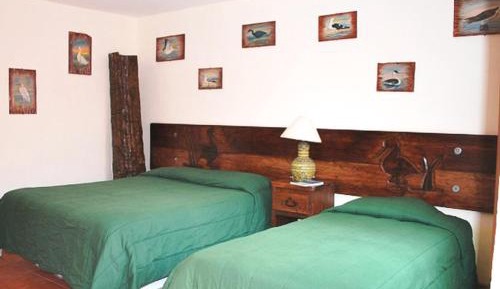 Basic Triple Room