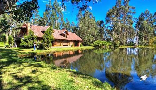 Superior Villa