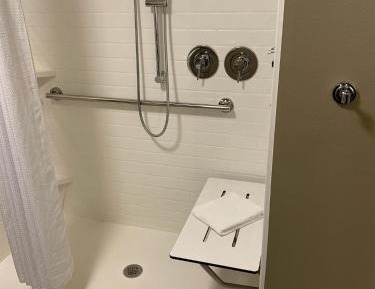 One-Bedroom King Suite with Mobility Accessible Roll-In Shower