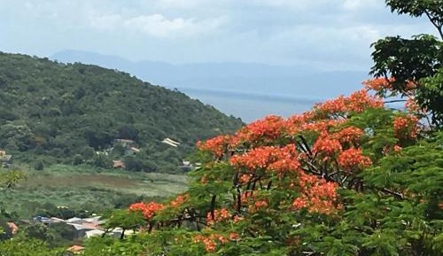 Double Room with Balcony and Panoramic View