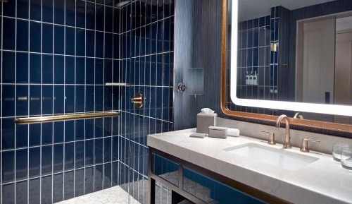 Premier Room  1 King Bed