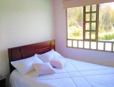 Apartment with Garden View