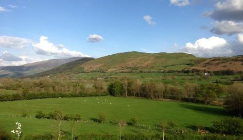 One-Bedroom Family Apartment