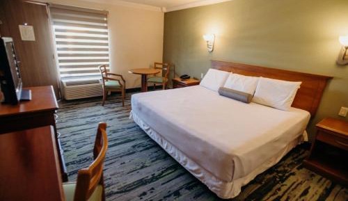 Standard King Room