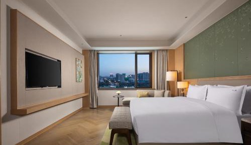Deluxe One-Bedroom King Suite - Non-Smoking