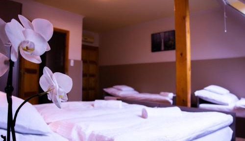 Superior Quadruple Room