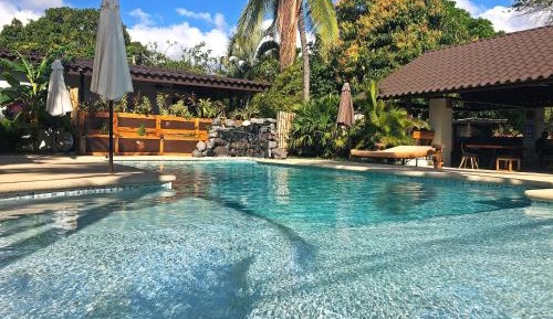 King Room with Pool View