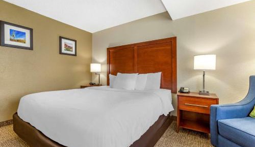 Standard King Room with Roll-in Shower - Accessible/Non-Smoking