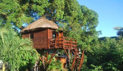 Tree Hut
