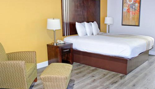 King Suite