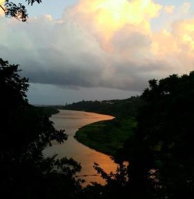 Executive Double Suite